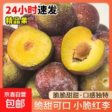 京喜 四川小脆红李青红脆李 单果15g+ 带箱2斤
