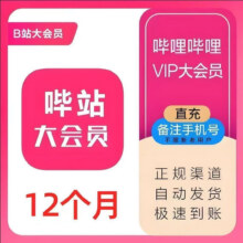bilibili大会员哔哩哔哩vip12个月一年卡B站大会员