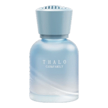 空气清新剂 160ml 烟雨单枞160ML1元