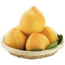 闽农语果新鲜黄桃 精选5斤装｜【单果150-170g】净重4.5斤16.9元（需领券） 包邮