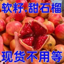 汁水饱满！某宝买菜 四川会理突尼斯软籽石榴 5斤/单果250g+