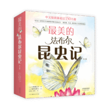 最美的法布尔昆虫记全12册套装 松冈达英大师 儿童自然科普昆虫百科全书学校推荐课外阅读3-6岁7-10岁爱心树童书149.5元 (券后省20)