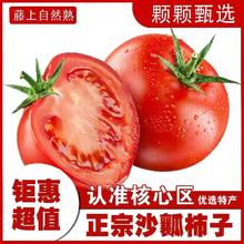 京喜自营-专用品牌 疆域采虹 普罗旺斯西红柿 5斤装 净重约4斤券后11.88元