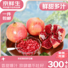 精选特级果！京鲜生 四川会理突尼斯软籽石榴 净重4.5斤 单果300-350g￥17.90 9.0折 比上一次爆料上涨 ￥3.2