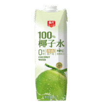 春光食品 海南特产 100%纯椰子水1L NFC椰青椰汁饮料椰子原浆