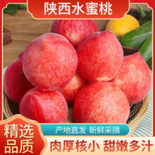 陕西水蜜桃 现摘新鲜当季应季时令水果整箱桃子脆甜软硬两吃 5斤精选装【严选级】净重4.5斤 源头直发12.6元 (券后省5,月销1w+)