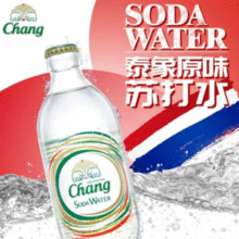 Chang 泰象牌 泰国进口 经典原味无糖气泡水 325ml*24瓶