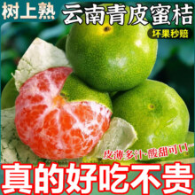 粤迎云南蜜桔酸甜口感特早熟桔子青皮蜜橘新鲜水果当季整箱青皮柑子 5斤精选果【酸甜多汁】净4.5斤9元（需领券）