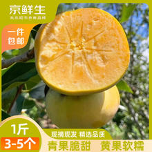 京鲜生 云南次郎脆柿 净重1斤装 单果100g+ 生鲜水果 源头直发 4.5斤装 单果100g起券后6.5元