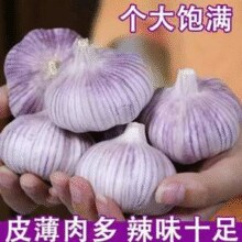 山东地头发货！某宝买菜 山东紫皮大蒜 特大果(果径6CM以上) 净重3斤￥11.63 17.9折