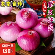 京喜加 新鲜洋葱紫洋葱葱头 5斤