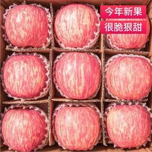 良田石山 苹果 特选3斤尝鲜装 净重约为2.5斤券后11.65元