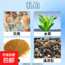 高清热弯玻璃鱼缸   养鱼大礼包1.56元（需领券）