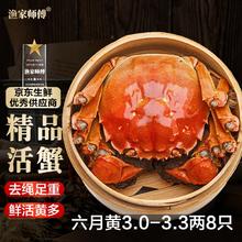 渔家师傅 大闸蟹 六月黄3.0-3.3两8只 去绳足重
