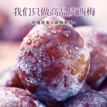 玖原农珍 当季新鲜蓝密西梅新疆 含箱5斤净重4.5斤单果40g+19.53元（需领券）
