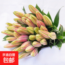 2.49元    【香水百合】特价鲜花云南直发家用水养插花束七夕送礼物好养香味 随机百合1枝双头 优质百合2.49元（秒杀渠道进入）