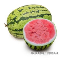 美团 绿叶水果 【5斤】硒砂瓜 大漠的“硒”世珍宝5.5元（原价7.9元现价5.5元）