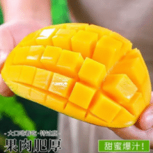 四川攀枝花产地生态种植！京觅 攀枝花凯特芒果 4.5斤/单果400g起￥12.90