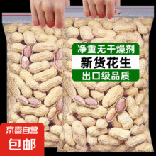 20点：五香花生坚果炒货休闲零食带壳炒制小花生每日坚果年货 五香花生500g5.45元/件包邮（买一送一实付10.9元（赠送主商品）