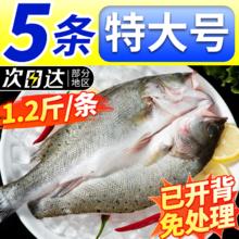 布七客 开背三去海鲈鱼 真空保鲜 速冻冷冻 清蒸23.69元