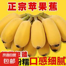 京喜 广西苹果蕉自然熟新鲜香蕉 3斤3.9元