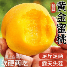 春福乐 山东蒙阴黄桃【产地直发】净重4.5-5斤超值装|单果92g+15.4元