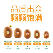 佳沛 16-18粒巨无霸(单果175-232g)36.9元