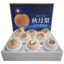正宗山东秋月梨  中秋礼盒装 5斤￥15.90