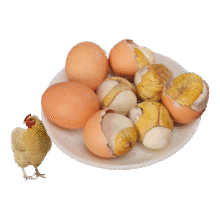 莘吉缘活珠子鸡蛋胚胎麻辣毛蛋13天新鲜钢化蛋五香新鲜即食生鲜 活珠子20枚五香味26元 (月销1w+)