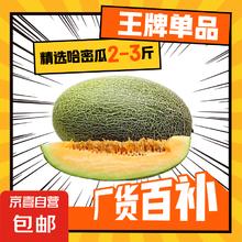 无品牌 国产脆甜晓蜜哈密瓜 2-3斤4.4元