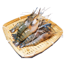 百鲜洽 虾 1500g