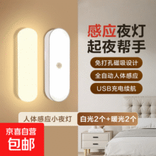 感应起夜小夜灯led智能人体感应人走灯灭家用卧室床头夜用过道楼梯小夜灯宿舍 白光2个+暖光2个【人来灯亮】19.9元 (每满300减30,券后省3)