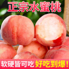 飘香果度山西水蜜桃应季时令新鲜水蜜桃桃子生鲜水果 净重4.5斤【单果80g+】