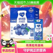 纯甄 蒙牛纯甄蓝莓果粒风味酸奶200g*10包礼盒装优质乳蛋白营养早餐