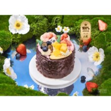 美团 八喜冰淇淋蛋糕 【鲜果黑森林】4英寸-四拼口味冰淇淋蛋糕【下午茶 仅自提】原价208现89元