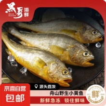 舟山海捕小黄鱼野生细麟小黄鱼新鲜速冻 500g（约15-18条/斤）