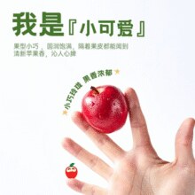 山姆99元/桶！Rockit 乐淇 新西兰进口苹果 抱抱桶款 8-10颗 553g/桶（赠2颗）￥42.13 1.8折