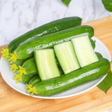 荷兰水果黄瓜新鲜黄瓜甜脆荷兰蔬菜农家自种生吃无刺脆嫩小青瓜 荷兰黄瓜净重4.5斤单根≥90g13.9元
