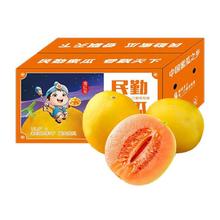 萧鲜生 精选民勤蜜瓜黄河蜜瓜 4.5-5斤（1个）
