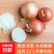 京喜 新鲜黄洋葱便宜大个葱头超市生鲜批发沙拉生甜直播间 黄洋葱 1斤0.99元