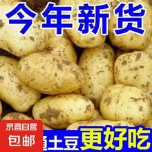 新鲜山东正宗黄心土豆 3两起 带箱2斤 中大果0.98元