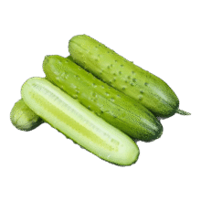 东北旱黄瓜现摘青瓜新鲜蔬菜水果黄瓜带刺小黄瓜 旱黄瓜 4.5斤 单根≥90g14.9元