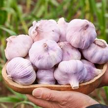 王家渡 经典猪肉培根 猪腹肋肉≥90% 200g*6袋