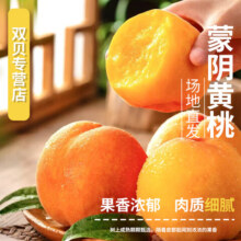 春福乐 山东蒙阴黄桃 净重4.5-5斤甄选装|单果110g+15.8元