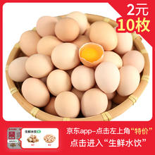 忆乡岭 农家散养谷物鸡蛋 480g 12枚