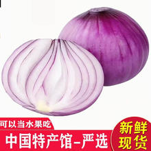 魏儿郎 水果紫洋葱 洋葱 产地直供 健康轻食 新鲜蔬菜 水果洋葱带箱 2斤 精选果