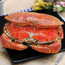 面包蟹 生鲜黄金蟹珍宝蟹净重 400-600g*1只【满黄母蟹】