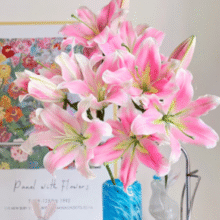 云南基地直发！某东鲜花 云南直发 香水百合鲜花 随机色20枝￥25.91 比上一次爆料降低 ￥3.59