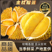 泰国进口整个带壳榴莲精品净重3.1-4.1斤单个装