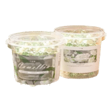 羞小情山茶花洗衣凝珠五合一浓缩 洗衣球  200颗9.9元（需领券）